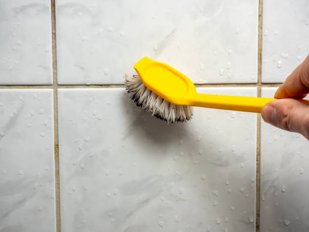 Best Local Mold Removal Service  in State College, PA