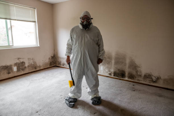 Best Attic Mold Removal  in State College, PA